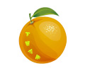 res-downloader v3.1.2 爱享素材下载器_支持微信视频号/抖音/qq音乐等网络资源下载