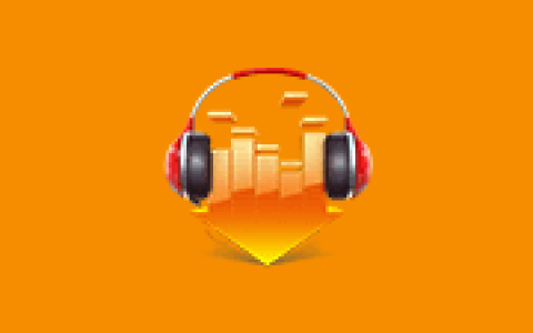 DLNow Video Downloader v1.54.2026.03.17 多语便携版