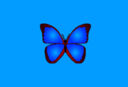 bkViewer v8.1 绿色版(小巧精悍的数码照片浏览器)