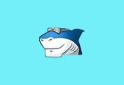 多媒体编解码器套件 Shark007 Codecs v20.8.4 便携版
