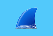 Wireshark抓包从入门到精通