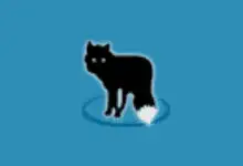 MetaFox v2.6.1.2 便携版｜轻量视频转 MKV 神器