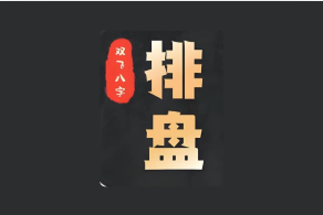 双飞八字排盘 v1.2.1 排盘神器