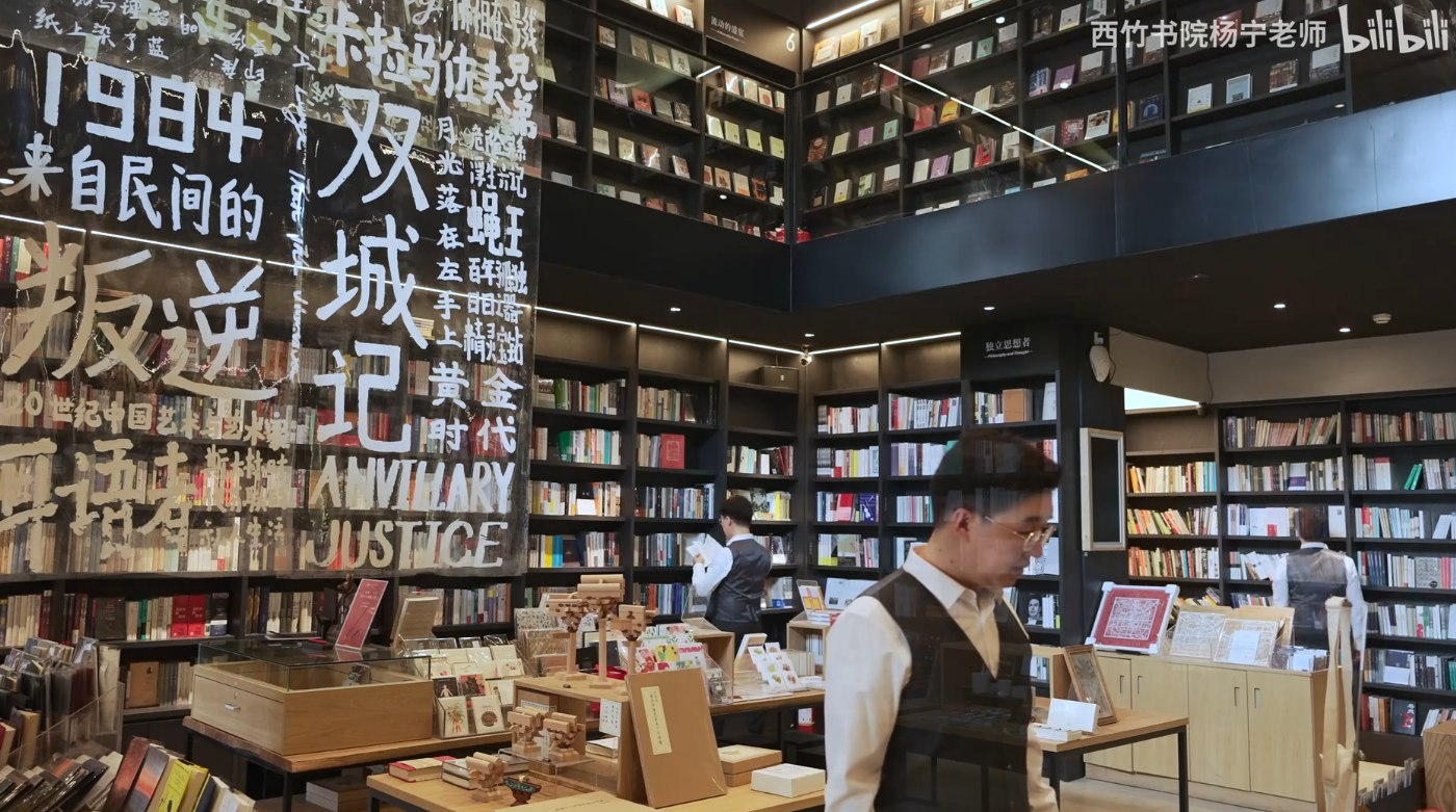 B站 – 杨宁老师的文学启示课，解锁经典作品的深层意义与审美体验